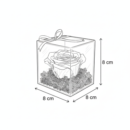 Trandafir Criogenat Roșu în Cutie Acrilică Pătrată