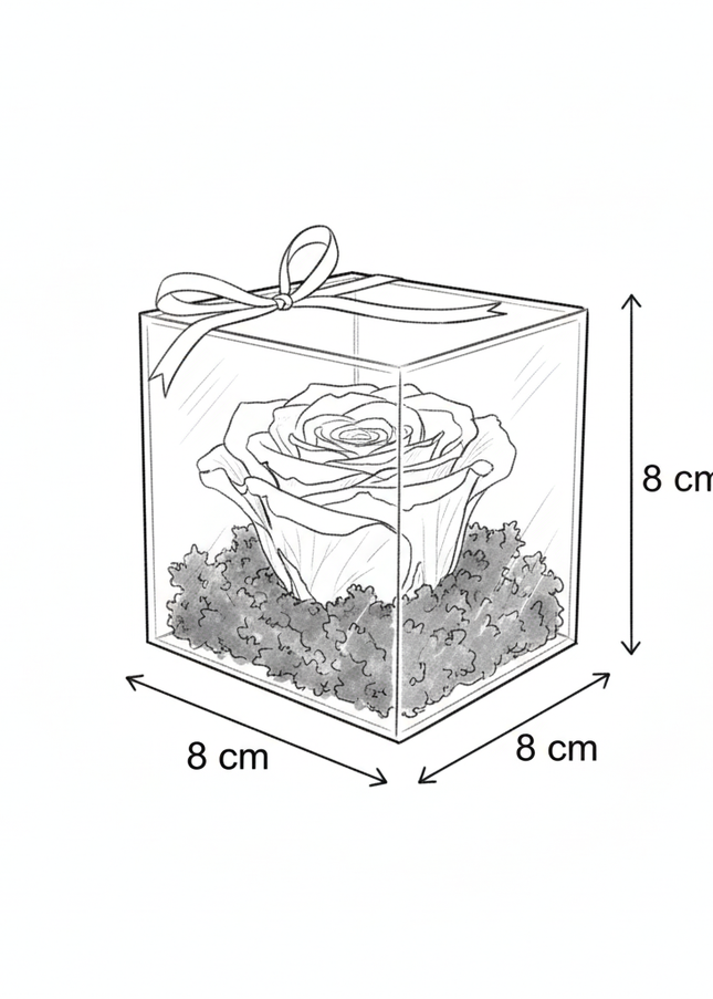 Trandafir Criogenat Roșu în Cutie Acrilică Pătrată