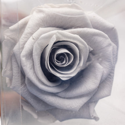 Aranjament de Lux „Silver Infinity” cu Trandafir Criogenat