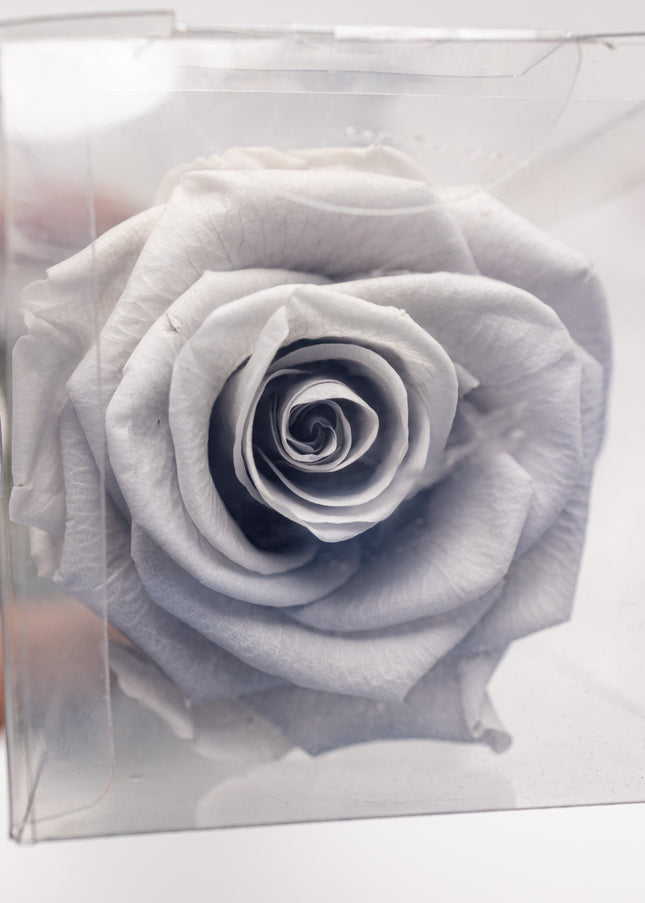 Aranjament de Lux „Silver Infinity” cu Trandafir Criogenat