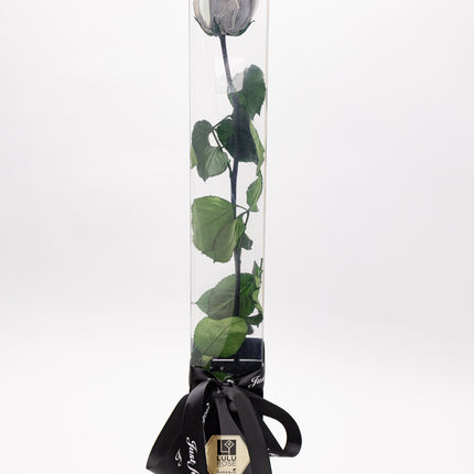 Aranjament „Silver Infinity” cu Trandafir Criogenat