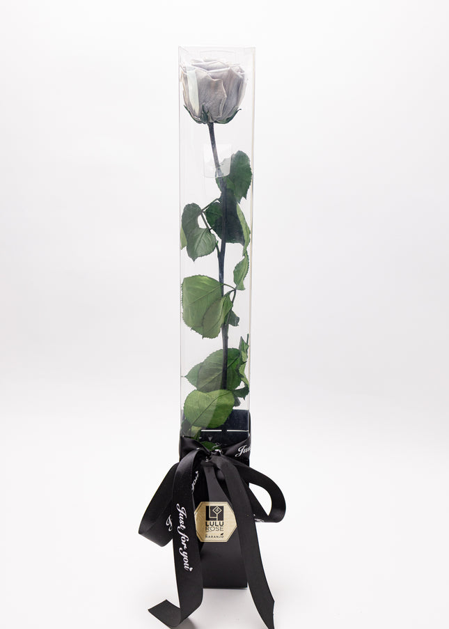 Aranjament „Silver Infinity” cu Trandafir Criogenat