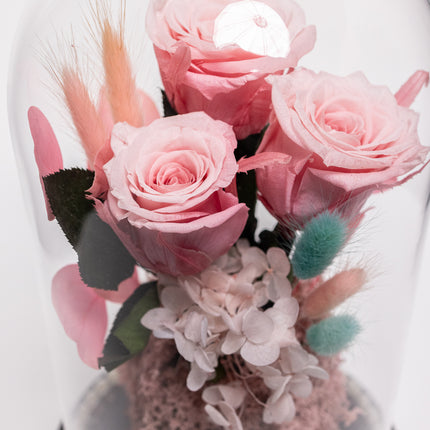 Cupolă Lux 3 Trandafiri Criogenați Roz & Perle