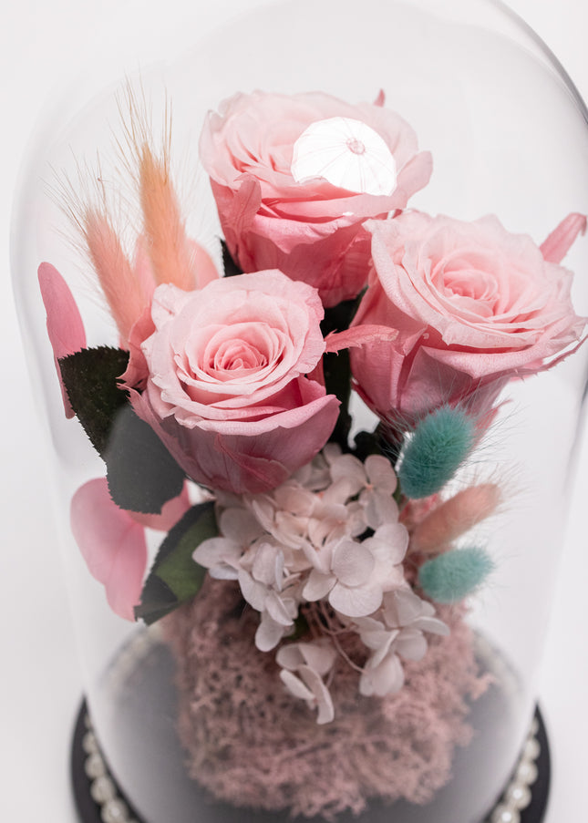 Cupolă Lux 3 Trandafiri Criogenați Roz & Perle