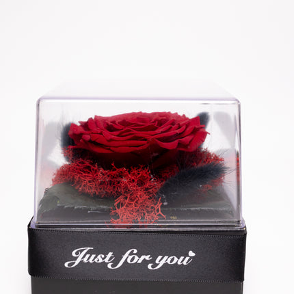 Trandafir Criogenat Roșu Gigant în Cutie Acrilică cu Pană & Mesaj