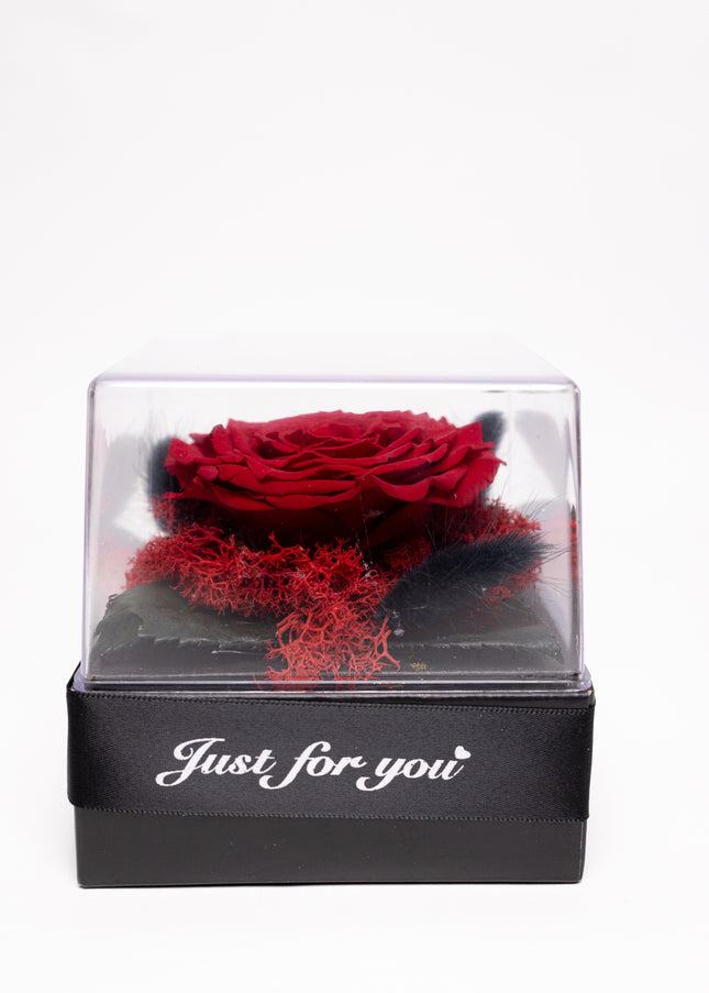Trandafir Criogenat Roșu Gigant în Cutie Acrilică cu Pană & Mesaj