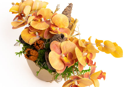 Aranjament Floral „Golden Orchid” în Vas Ceramic – Compoziție cu Orhidee Galbene, Licheni și Elemente Naturale Conservate