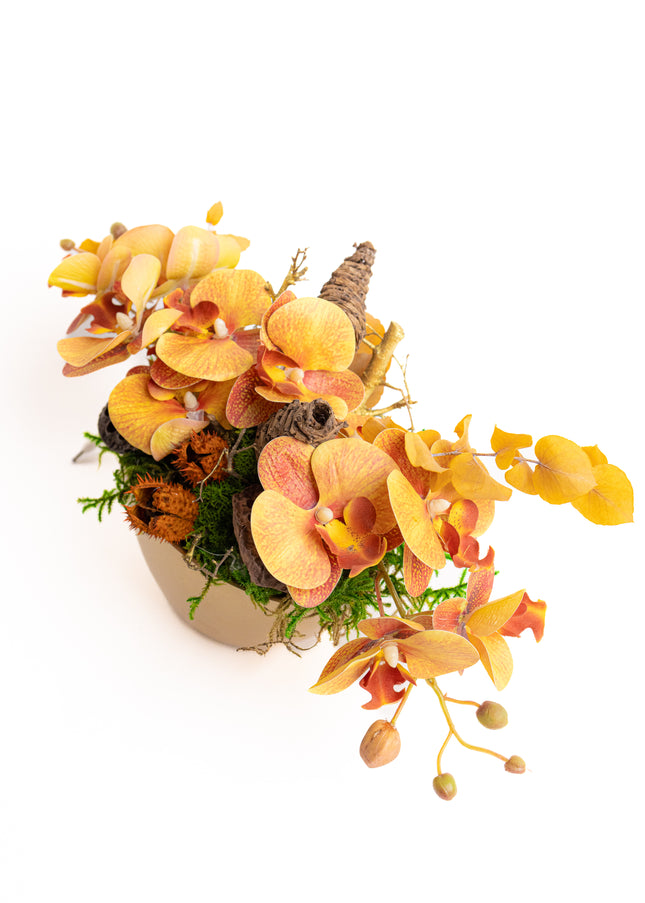 Aranjament Floral „Golden Orchid” în Vas Ceramic – Compoziție cu Orhidee Galbene, Licheni și Elemente Naturale Conservate
