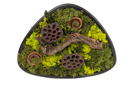 Terariu Biophilic „Emerald Basin” – Aranjament Handmade cu Licheni Stabilizați și Lotus în Vas Ceramic Triunghiular