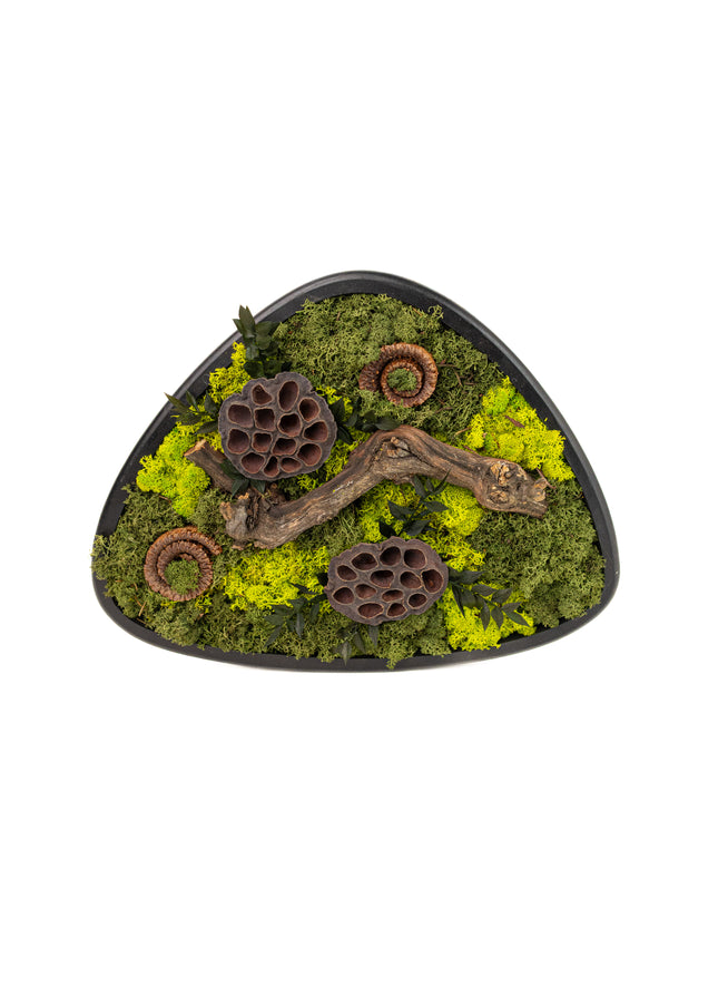 Terariu Biophilic „Emerald Basin” – Aranjament Handmade cu Licheni Stabilizați și Lotus în Vas Ceramic Triunghiular