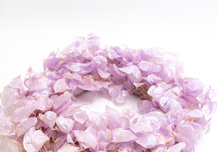 Coroniță Decorativă din Lunaria Mov – Aranjament Natural din Plante Uscate