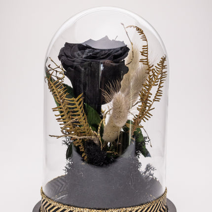 Cupolă Lux Trandafir Criogenat Negru & Decor Auriu