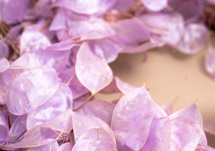 Coroniță Decorativă din Lunaria Mov – Aranjament Natural din Plante Uscate
