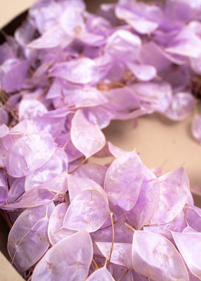 Coroniță Decorativă din Lunaria Mov – Aranjament Natural din Plante Uscate