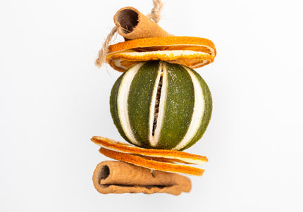 Ornament de Crăciun Suspendat „Citrus & Spice Harmony”