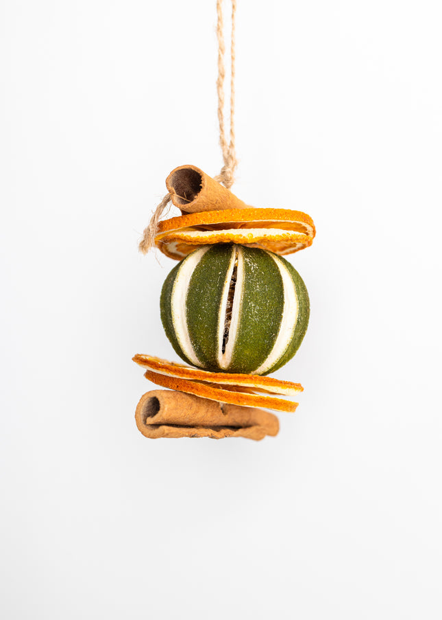 Ornament de Crăciun Suspendat „Citrus & Spice Harmony”