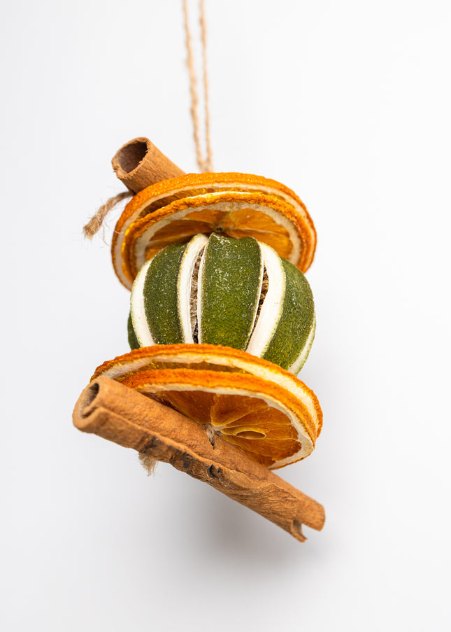 Ornament de Crăciun Suspendat „Citrus & Spice Harmony”