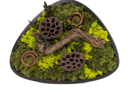 Terariu Biophilic „Emerald Basin” – Aranjament Handmade cu Licheni Stabilizați și Lotus în Vas Ceramic Triunghiular