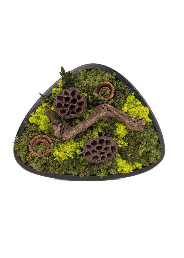 Terariu Biophilic „Emerald Basin” – Aranjament Handmade cu Licheni Stabilizați și Lotus în Vas Ceramic Triunghiular