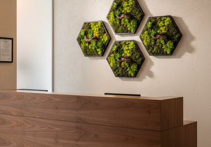 Decor Mural Modular „Emerald Hive” – Un Panou Hexagonal Handmade cu Mușchi, Licheni și Relief Botanic