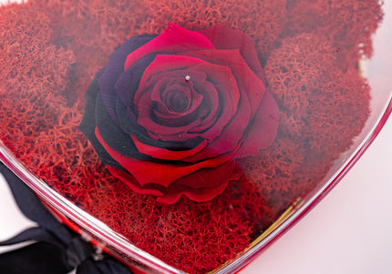 Aranjament de Lux „Rainbow Eternal Rose” în Cupolă Acrilică