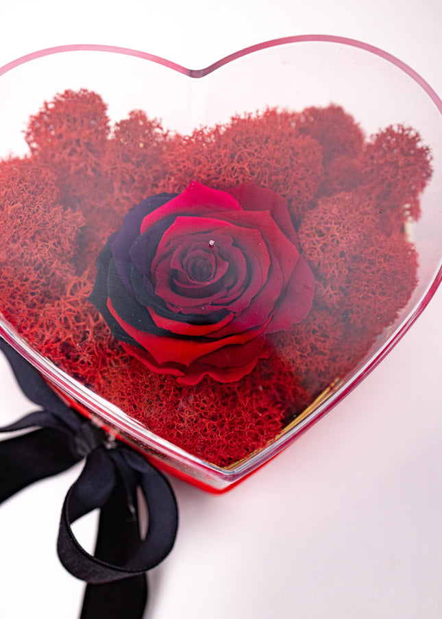 Aranjament de Lux „Rainbow Eternal Rose” în Cupolă Acrilică