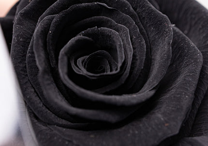 Aranjament de Lux "Noir Elegance" cu Trandafir pe Tulpină