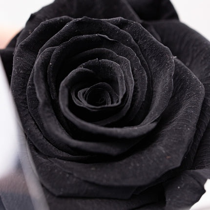 Aranjament de Lux "Noir Elegance" cu Trandafir pe Tulpină