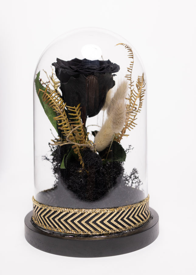 Cupolă Lux Trandafir Criogenat Negru & Decor Auriu