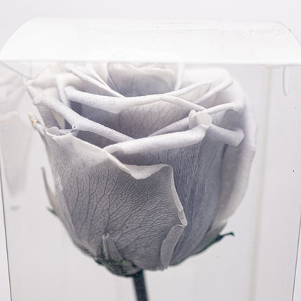 Aranjament de Lux „Silver Infinity” cu Trandafir Criogenat