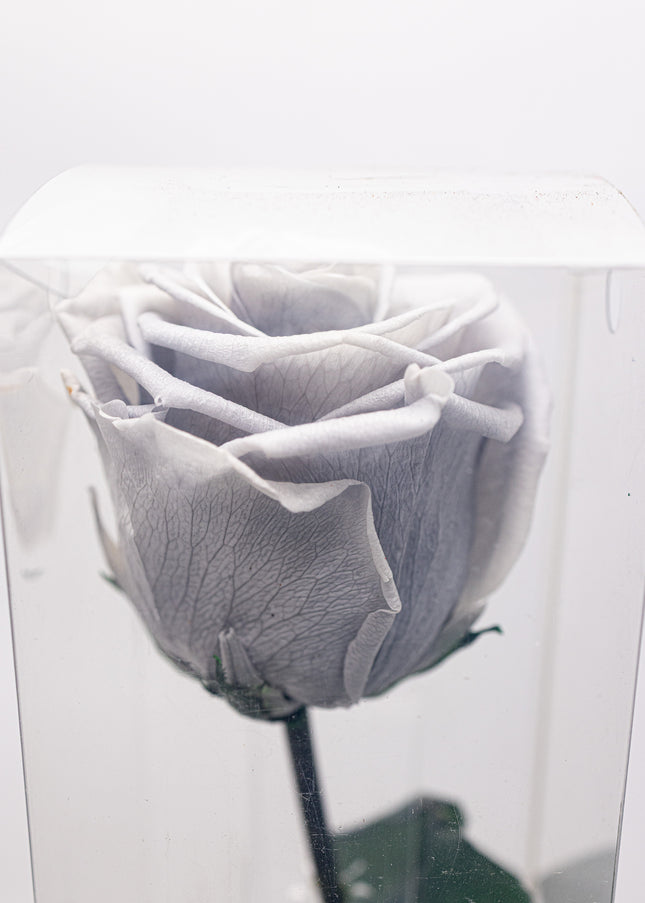 Aranjament „Silver Infinity” cu Trandafir Criogenat