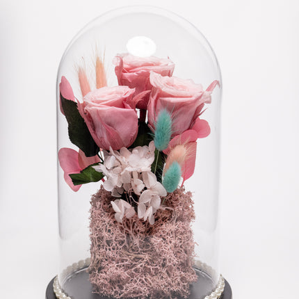 Cupolă Lux 3 Trandafiri Criogenați Roz & Perle
