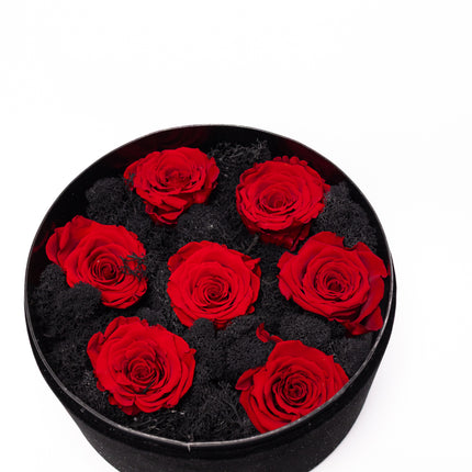 Aranjament Lux 5 Trandafiri Criogenați Roșii, Cutie Catifea Neagră