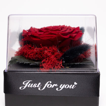 Trandafir Criogenat Roșu Gigant în Cutie Acrilică cu Pană & Mesaj
