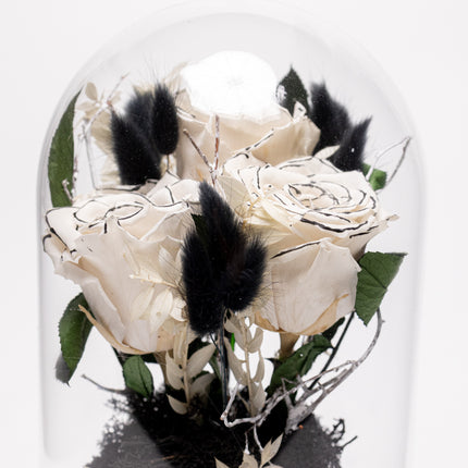 Cupolă Lux 3 Trandafiri Criogenați Albi cu Vârf Negru & Perle
