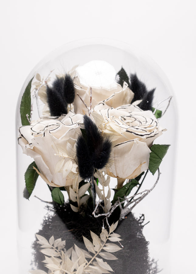 Cupolă Lux 3 Trandafiri Criogenați Albi cu Vârf Negru & Perle