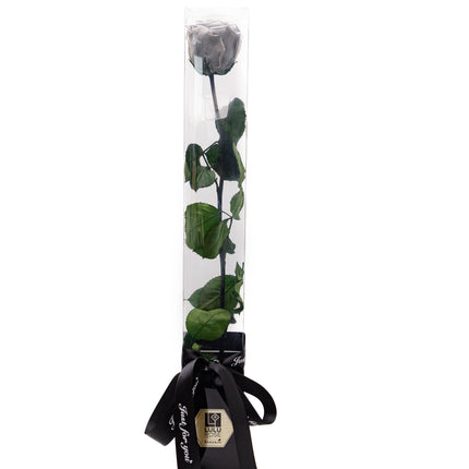 Aranjament de Lux „Silver Infinity” cu Trandafir Criogenat