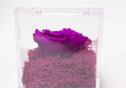 Aranjament de Lux "Amethyst Cube Muse" cu Trandafir Criogenat