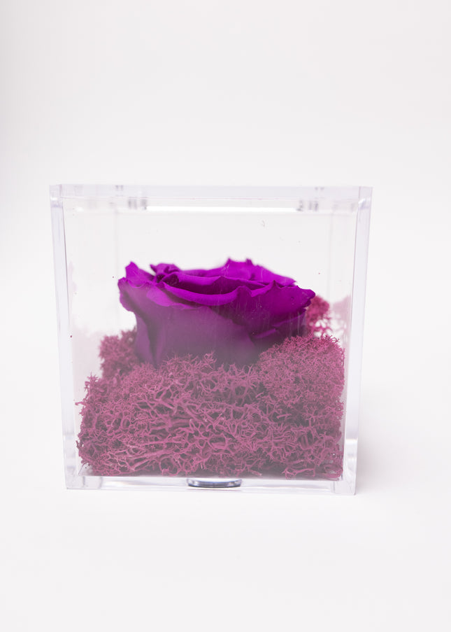 Aranjament de Lux "Amethyst Cube Muse" cu Trandafir Criogenat