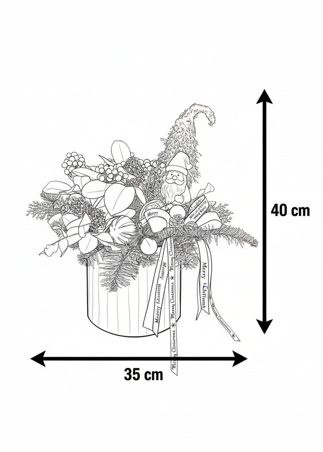 Aranjament Crăciun "Santa's Garden" cu Skimmia și Brad