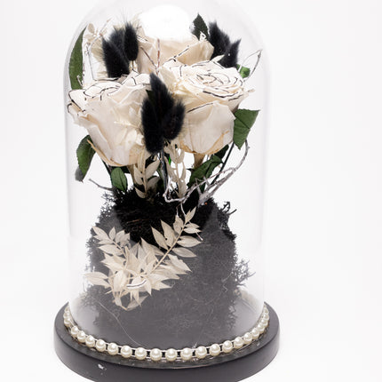 Cupolă Lux 3 Trandafiri Criogenați Albi cu Vârf Negru & Perle