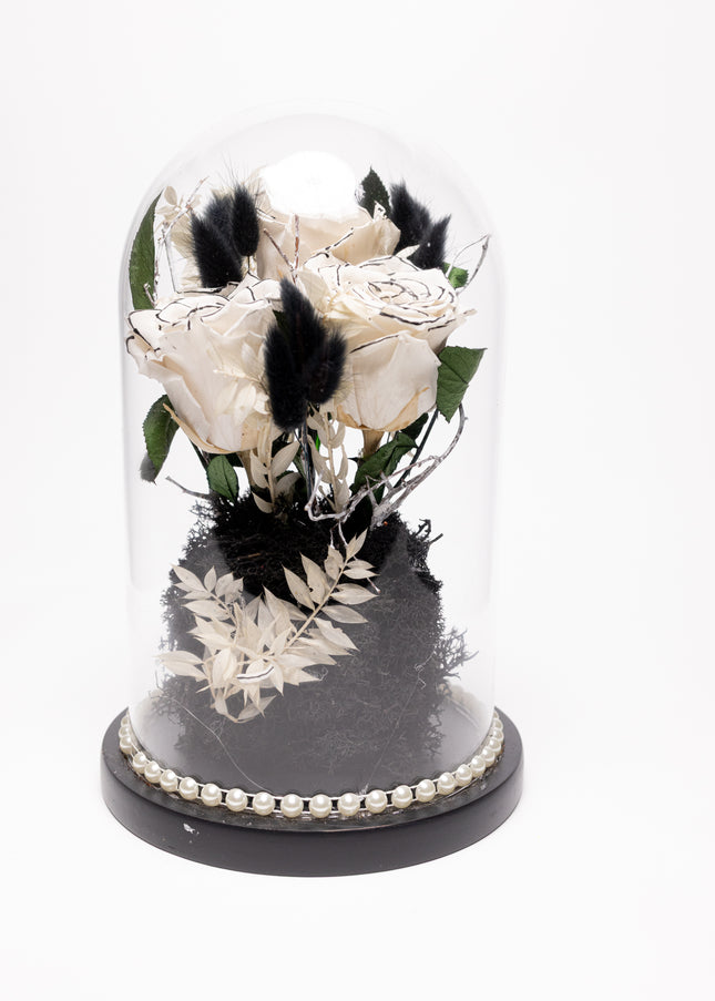 Cupolă Lux 3 Trandafiri Criogenați Albi cu Vârf Negru & Perle