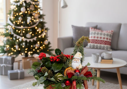 Aranjament Crăciun "Santa's Garden" cu Skimmia și Brad