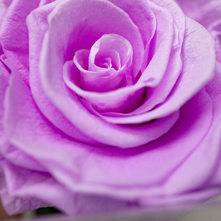 Aranjament de Lux "Amethyst Muse" cu Trandafir pe Tulpină