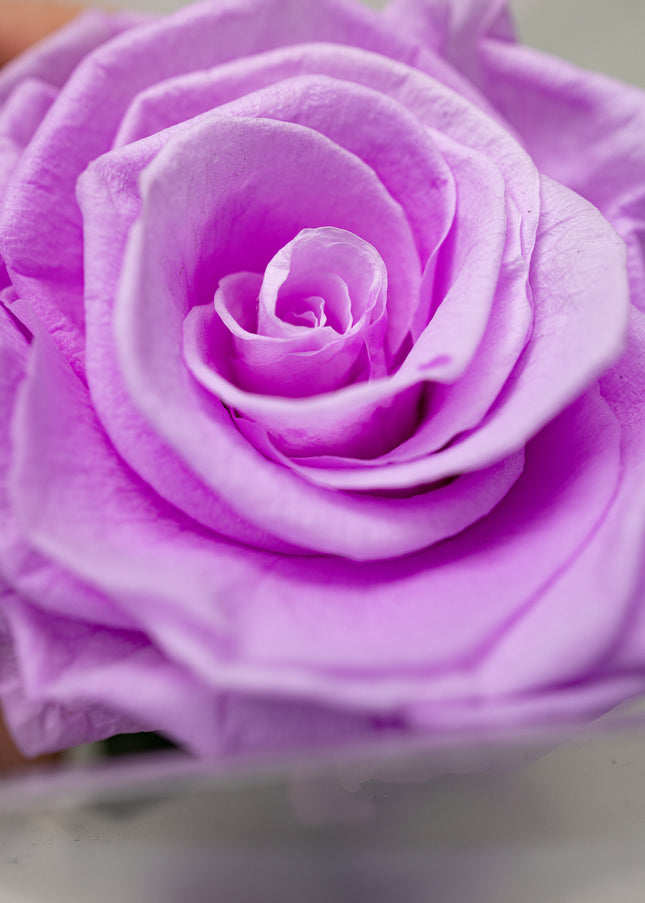 Aranjament de Lux "Amethyst Muse" cu Trandafir pe Tulpină