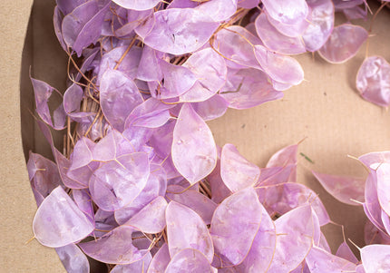 Coroniță Decorativă din Lunaria Mov – Aranjament Natural din Plante Uscate