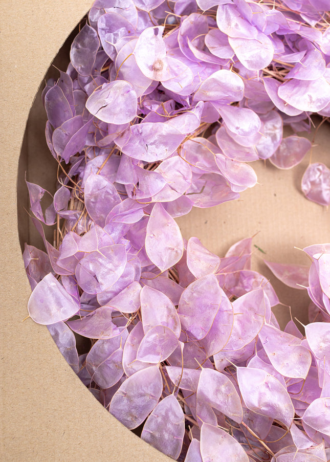 Coroniță Decorativă din Lunaria Mov – Aranjament Natural din Plante Uscate