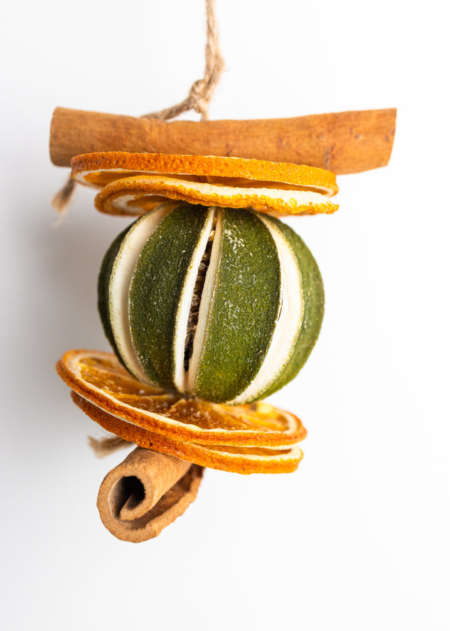 Ornament de Crăciun Suspendat „Citrus & Spice Harmony”