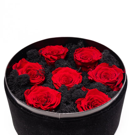 Aranjament Lux 5 Trandafiri Criogenați Roșii, Cutie Catifea Neagră