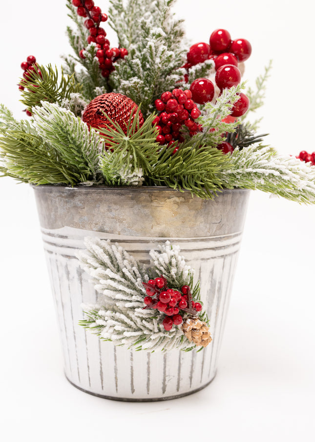Brad Natural la Ghiveci "Red Berries" pentru Birou
